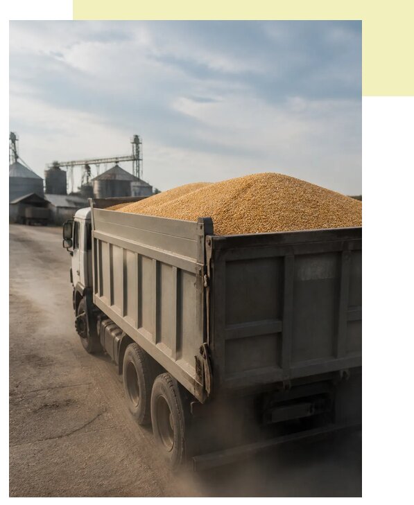 Перевозка сельхозпродукции навалом в Находку по цене от 3095 р. | Агросервис-Нхд