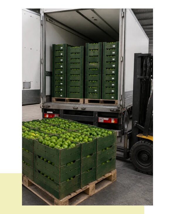 Перевозка лаймов в Находку с соблюдением температурного режима